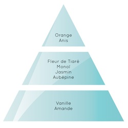 Pyramide parfum lampe berger Rêves d'archipels