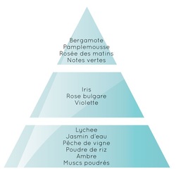 Pyramide parfum lampe berger Paris chic